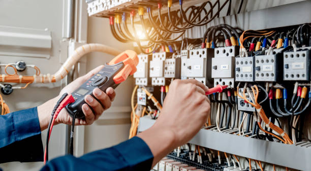 Best Local Electrician Companies  in Winnsboro Mills, SC